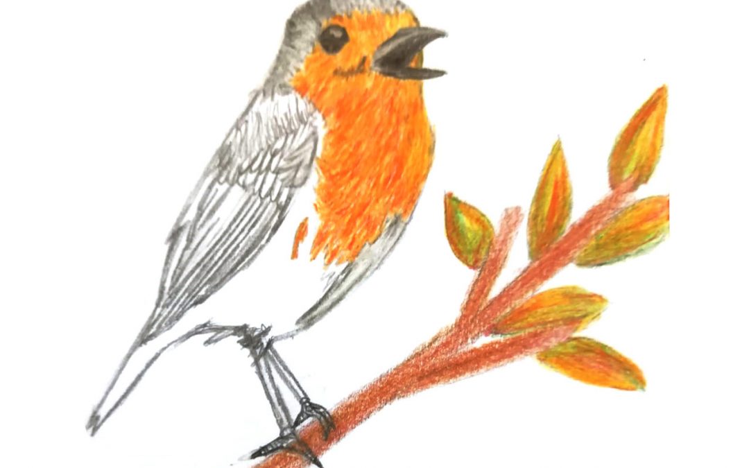 Corona Update Schule