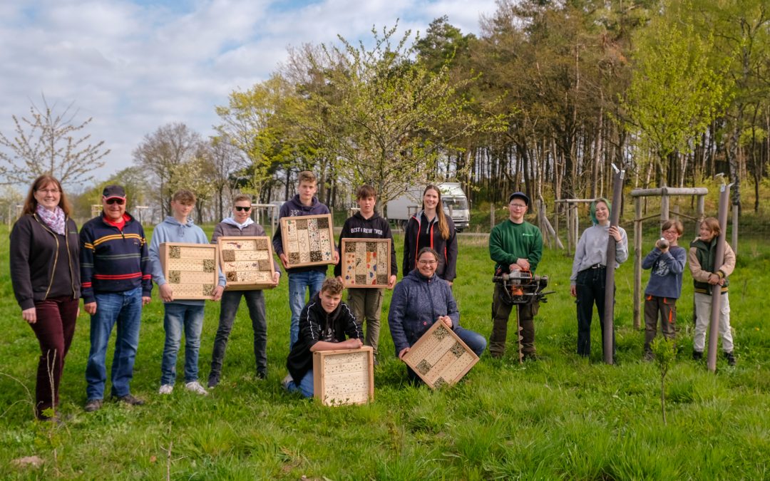 Schüler:innen gestalten „Insektenhotels“