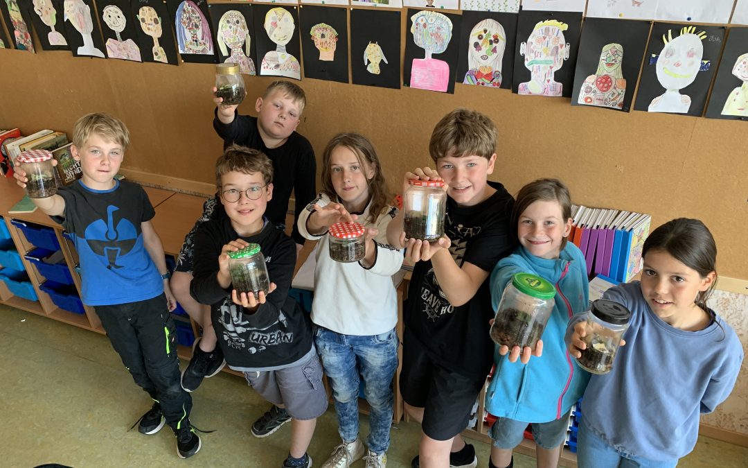 Bau dir dein eigenes Ökosystem – Flaschengärten