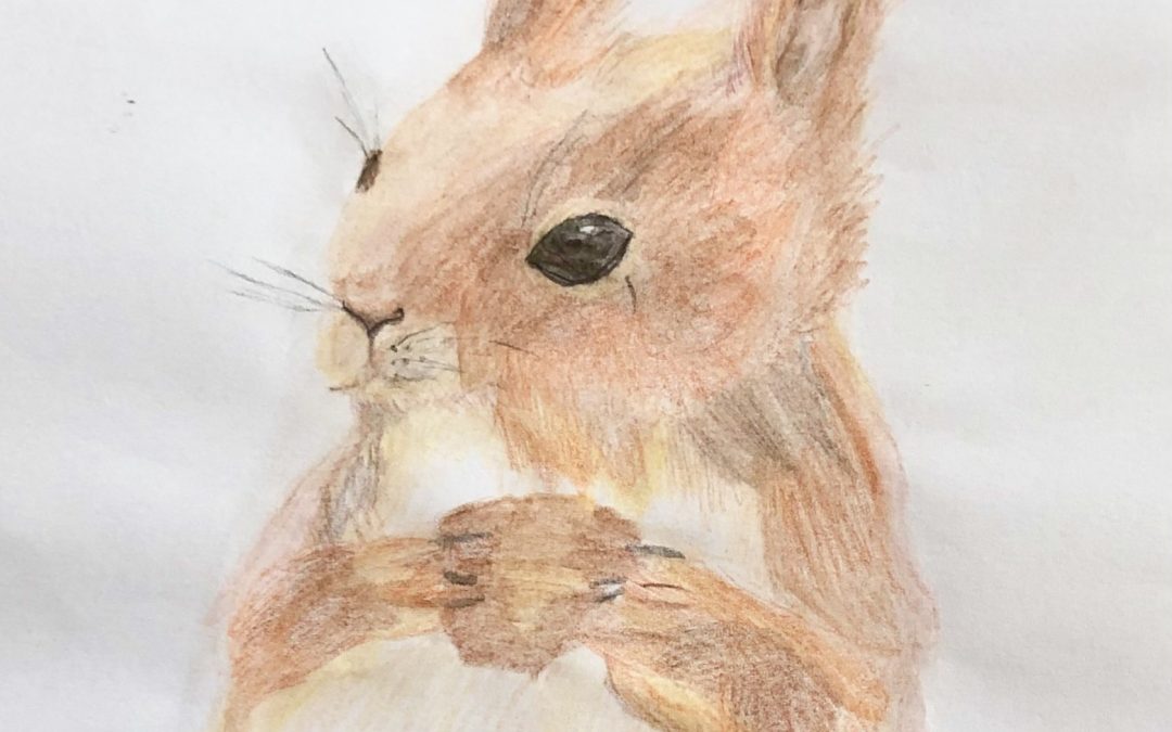 Schöne Weihnachtsferien und einen guten Start ins neue Jahr!